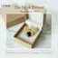 LUImo Tinh Tế Men Ong Trâm Cài Với Đá Lấp Lánh Phong Cách Ve Áo Pin Dành Cho Nữ Mặc Hàng Ngày Tiệc Tốt Nghiệp Quà Tặng Ngày Lễ SBS