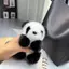 JULYHOT Gấu Trúc Nhỏ Sang Trọng Búp Bê Nữ Túi Đồ Trang Trí Dễ Thương Giả Lông chồn Gấu Trúc Móc Khóa Xe Dễ Thương Gấu Móc Chìa Khóa Xe Ô Tô Quà Tặng Thời Trang Massivedeals