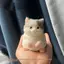 Silicon Mềm Mèo Dễ Thương Bóp Đồ Chơi Chậm Phục Hồi Căng Thẳng Lo Âu Giảm Fidget Đồ Chơi Cho Trứng Phục Sinh Filler Quà Tặng
