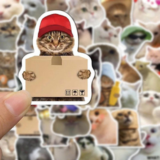 [Qùa Tặng kèm k bán] Combo Hình nhãn gián hình Sticker Nhãn gián