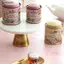 Ziyulinyuk Hoạt Hình Vườn Thỏ Vali Lưu Trữ Kẹo Hộp Bánh Quy Tròn Kim Loại Trang Sức Tổ Chức Cho Đám Cưới Tiệc Sinh Nhật Hộp Quà Tặng VN