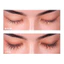 Dưỡng mi mày ngày và đêm Dưỡng Mi Chính Hãng FKN, Serum Dưỡng Mày Combo 3 lọ 2024