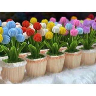 [Thành phẩm] Chậu Hoa Kẽm Nhung mini Thủ công Handmade - Làm Quà tặng - Decor Trang trí nhà cửa, bàn học, bàn làm việc