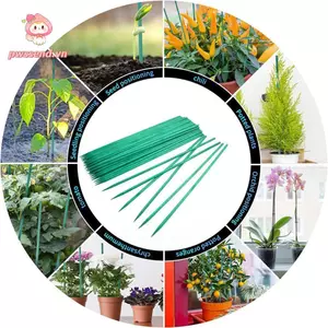PWSSEND 10 / 30 Chiếc Que Canes Flowes Sắp Xếp Trang Trí Nhà Chắc Chắn Xanh Hỗ Trợ Cây