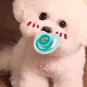 Top Puppy Đồ chơi dịu nhẹ khuyến khích nhai Tránh nhàm chán Bề mặt mềm Kẹo cao su Thân thiện với du lịch Chất lượng nhỏ gọn