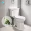 Mũ Bu Lông Vệ Sinh Cá, Vỏ Bu Lông Vệ Sinh Cá Vui Nhộn, Bộ Phận Thay Thế Nhà Vệ Sinh Trang Trí Phòng Tắm Phụ Kiện 1 Chiếc