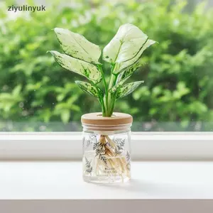 Ziyulinyuk Clear Grey Hydroponic Plastic Planter Hoa văn dương xỉ tinh tế Nắp gỗ mịn cho văn phòng tại nhà Máy tính để bàn Quà tặng trang trí VN