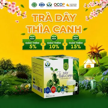 Hộp 30 gói dây thìa canh hoa nhài cỏ ngọt siêu thị thiên nhiên