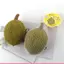 Mô Phỏng Cá Sọc Bóp Bóng Pinch Âm Nhạc Giải Nén Thông Hơi Hiện Vật Chậm Phục Hồi Fidget Đồ Chơi saixit2vn