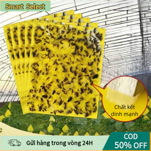 Bẫy Côn Trùng Màu Vàng 2 Mặt - Diệt Rầy, Rệp, Ruồi Đục Lá Hiệu Quả