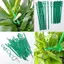 Bộ 50 Có Thể Tái Sử Dụng Hỗ Trợ Cây Kẹp Vườn Nhựa Có Thể Điều Chỉnh Để Leo Cây Nho Trồng Rau