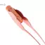 Chất tẩy rửa tai cho bé Tai mềm Pis LED Flash Light Ear Wax Curette Pier Dụng cụ làm sạch tai có kính lúp Loại bỏ sáp tai