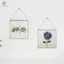 2 Chiếc Khung Kính Cho Hoa Bấm, Lá Và Tác Phẩm Nghệ Thuật - Treo Vuông Kim Loại Khung Hình, Trong Suốt Đôi Kính Nổi