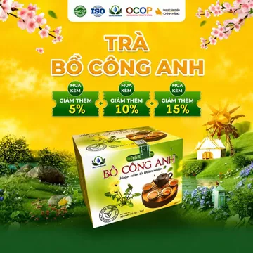 Trà Bồ Công Anh Cỏ Ngọt Thanh Mát Cho Ngày Mới Thư Thái Hộp 30 Túi Lọc 90gram