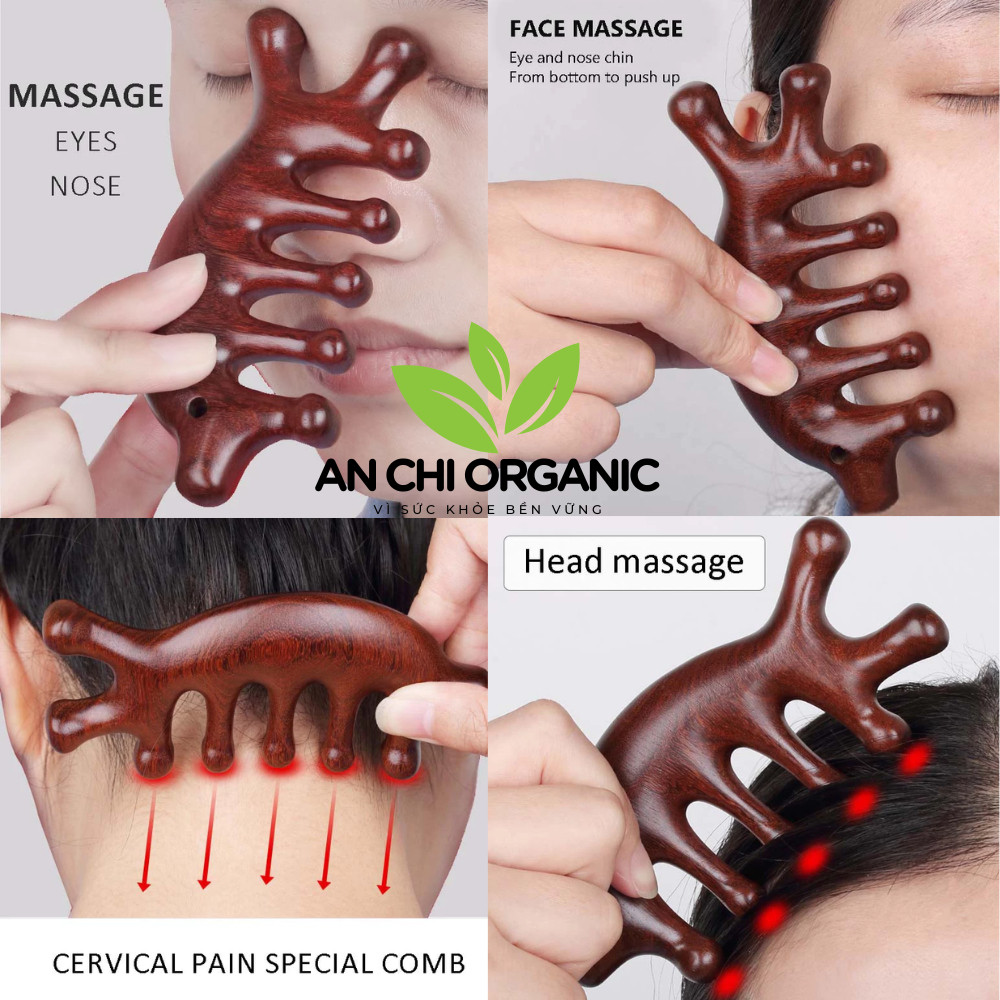 (TẶNG TÚI GẤM) Lược Gỗ Đàn Hương Massage Đầu Mặt Cổ Vai Gáy Thư Giản, Giảm Đau Mỏi Nhiều Hình Dạng An Chi Organic