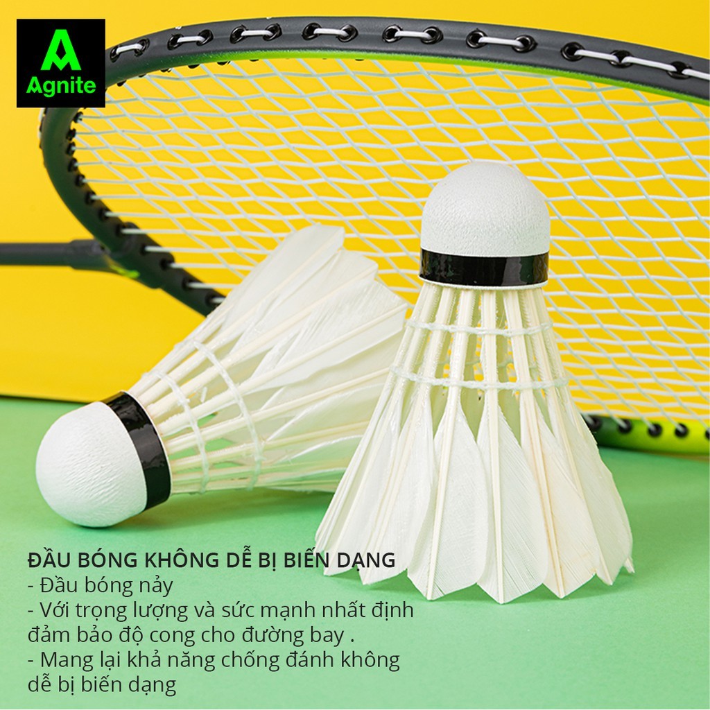 Quả cầu lông Agnite chính hãng, ống cầu 12 quả cầu lông vũ siêu bền, chịu va đập tốt