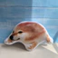 My Knife Shield Puppy Sound Funny Cute Internet Celebrity Knife Shield Dog Gối Mặt dây chuyền