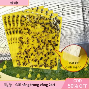 Bẫy Dính Ruồi Vàng, Bướm - Giải Pháp Thay Thế Thuốc Trừ Sâu