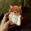 Khăn tay giải nén mềm mại chữa bệnh cho búp bê Fox Doll sang trọng