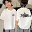Áo thun ngắn tay 100% cotton bé trai mùa hè 2025 cotton nửa tay màu trắng hàng đầu Quần áo trẻ em cá mập D6WK