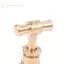 Vòi sôi chậm GE Brass, Đồng thau cổ bằng đồng có tay cầm, Vòi Petco Tap VN