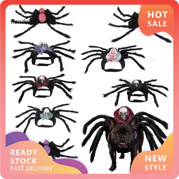 RAN Đồ dùng dự tiệc cho thú cưng cho chó Trang phục thú cưng nhện cho mèo Trang phục nhện thú cưng Halloween cho chó mèo Trang phục nhện đen có mặt đầu lâu Hình ảnh tiệc Cosplay dễ thương cho nhỏ
