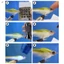 Chất liệu buộc ruồi đầu lâu trong suốt - Phụ kiện móc câu cá để câu cá bay