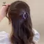 Móng vuốt tóc hoa đính đá cổ điển dành cho nữ Kẹp tóc pha lê thời trang Kẹp tóc cua Đuôi ngựa Barrette Phụ kiện tóc cho bé gái [Mina]