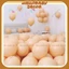 Set 10 bóng TX màu retro trang trí sinh nhật - sự kiện - lễ hội