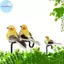Pufangbliss 6 Con Chim Nhân Tạo Thực Tế Nhiều Màu Sắc Cho Sân Vườn Vòng Hoa DIY Trang Trí Ngày Lễ Giáng Sinh VN