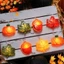Dây đèn LED YOFFOR, Đèn lá phong DIY