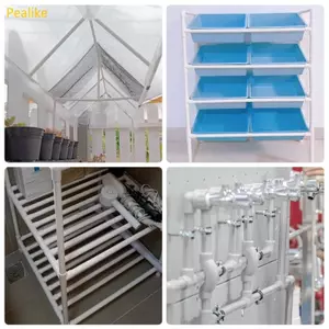 Pealike 2 chiếc Đầu nối khuỷu tay PVC 3 chiều Phụ kiện khuỷu tay 90 độ Nhiều kích thước cho các tùy chọn cho các dự án ngoài trời trong nhà