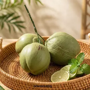 DONOVANQQ Dừa Mô Phỏng, Dừa Nhân Tạo Thực Tế Xanh, Đồ Dùng Tiệc Nhiệt Đới Sống Động Như Thật Trang Trí Trái Cây Nhựa Trang Trí Trang Trí Nhà Tiệc