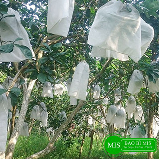 Túi Bọc Trái Cây Dùng Cho Nhiều Loại Như Ổi, Xoài, Nhãn, Nho, Thiết Kế Chống Côn Trùng, Vải Không Dệt, Dùng 3-5 Mùa, Tiệ
