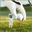 Divot Dụng Cụ Và Bóng Bút Đánh Dấu Golf Xanh Dụng Cụ Sửa Chữa Golf Thuốc Lá Giá Đỡ Xe Golf Đa Năng Golf Divot Dụng Cụ kouvn