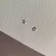 PNPIA- 1 Cặp Ngọt Ngào Mát Phụ Kiện Dễ Thương Rỗng Pentagram Bông Tai Tính Khí Luy Ngôi Sao Tai Cho Nữ Trang Sức Phong Cách Hàn Quốc