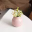 Morandi Phong Cách Bình Nhỏ Cho Trang Trí Văn Phòng Tại Nhà Bàn Tối Giản Hoa Tàu Hiện Đại Thẩm Mỹ Mini Chai Trang Trí Scandinavia Thiết Kế Nội Thất Giọng