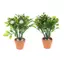 GE Thu Nhỏ Hoa Trắng Cây Xanh Chậu Cây Cảnh DIY Thủ Công Trang Trí Cho Nhà Búp Bê Trong Nhà Để Bàn Micro Garden Mẫu Trang Trí VN