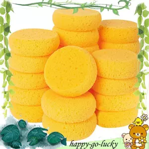 Miếng bọt biển tròn nghệ sĩ (24 chiếc) – Lý tưởng cho đồ gốm, đất sét, chăm sóc da & bảo trì móng ngựa