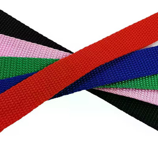 Dây xích huấn luyện thú cưng bằng Nylon nhiều màu cực dài cho chó Chất liệu bền bỉ với khóa chắc chắn Thời trang An toàn nhiều kích cỡ