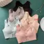 DARON Liền Mạch Đẩy Lên Áo Ngực Quần Lót Áo Nữ Quần Lót Thể Thao Màu Trơn Bướm Full Cup Không Vòng Thép Làm Đẹp Mặt Sau Miếng Lót Ngực Cho Bé Gái Camisoles Áo Ngực Đóng Trước