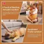 MJnmc 3D Mềm Mại Sang Trọng Chó Ném Gối Như Thật Động Vật Uốn Cong Đầu Chó Cosplay Đệm Cho Giường Mới