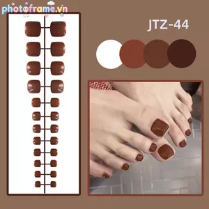 Khung Ảnh 24 Chiếc Màu Trơn Đơn Giản Móng Chân Stiers Full Stier Full Toenail Stiers Ngón Chân Đơn Giản Có Thể Tháo Rời Móng Chân Stiers VN