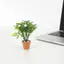 GE Thu Nhỏ Hoa Trắng Cây Xanh Chậu Cây Cảnh DIY Thủ Công Trang Trí Cho Nhà Búp Bê Trong Nhà Để Bàn Micro Garden Mẫu Trang Trí VN