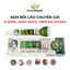 Kem Bôi Á Sừng, Nấm Ngứa, Viêm Da Cơ Địa Lão Chuyên Gia Xanh Lá 15g An Chi Organic