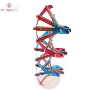 < zhuliye789 > Mô hình DNA gen người Double Helix Đồ chơi khoa học Giảng dạy Giáo dục học tập