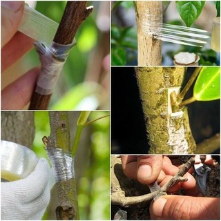 Băng keo ghép cây tự dính GA345 khổ 3cm chiều dài 150m phù hợp cho việc ghép các loại cây ăn quả và cây cảnh