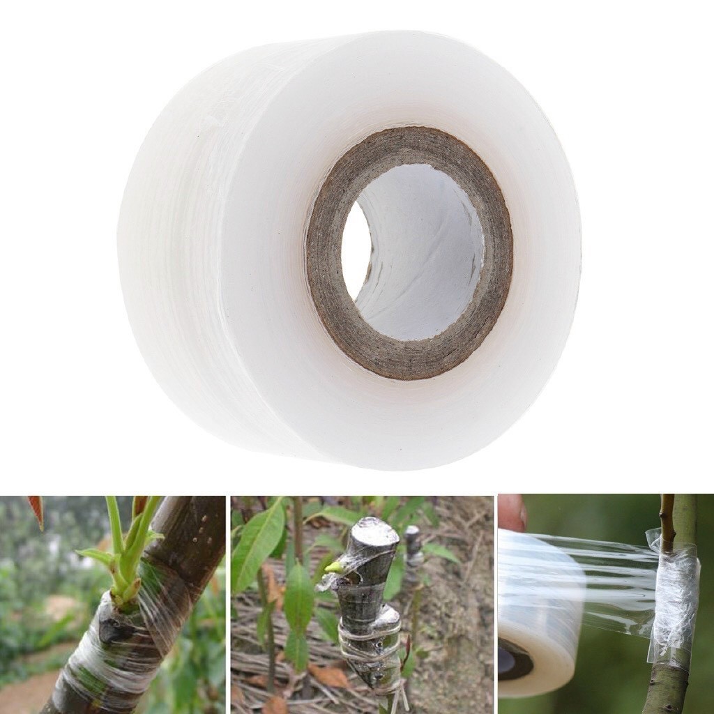 【COD】Màng keo ghép cây tự dính khổ 3cm cuộn 150m chất liệu mềm dẻo dễ sử dụng cho các công việc ghép cây chuyên nghiệp