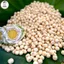 100Gr Hạt sen khô Đồng Tháp | Bò Đội Nón Shop Nông sản Làng Việt