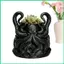 Chậu cây độc đáo Chậu hoa hải lý có thoát nước Chậu trồng Kraken in 3D có khay cho văn phòng tại nhà Windowsill jiwvn